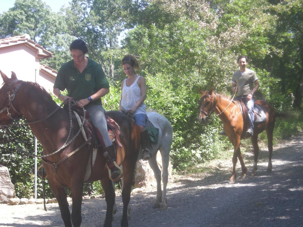 Agriturismo Castellum Aquarum Manciano Eksteriør billede